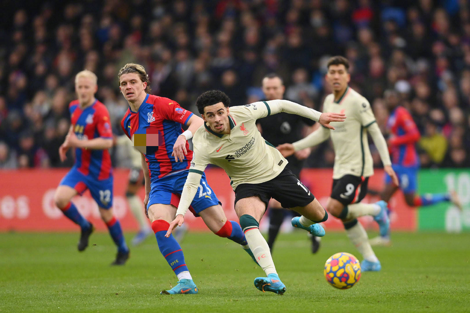 球公开赛吸 球公开赛吸